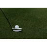 Putter lame classique