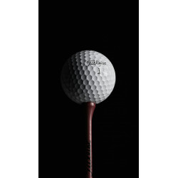 Boîte de 12 balles de golf