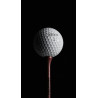 Boîte de 12 balles de golf