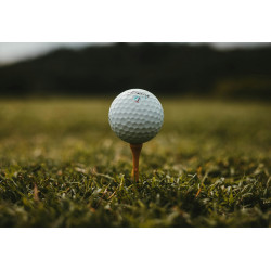 Boîte de 12 balles de golf