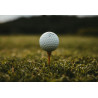 Boîte de 12 balles de golf