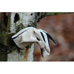 Gant de golf en cuir