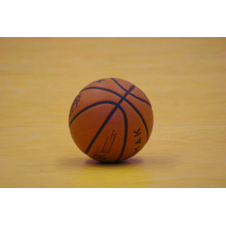 Ballon de basket intérieur taille 7