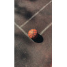 Ballon de basket extérieur taille 7