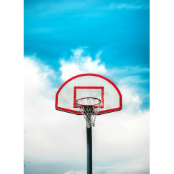 Panier de basket sur pied réglable
