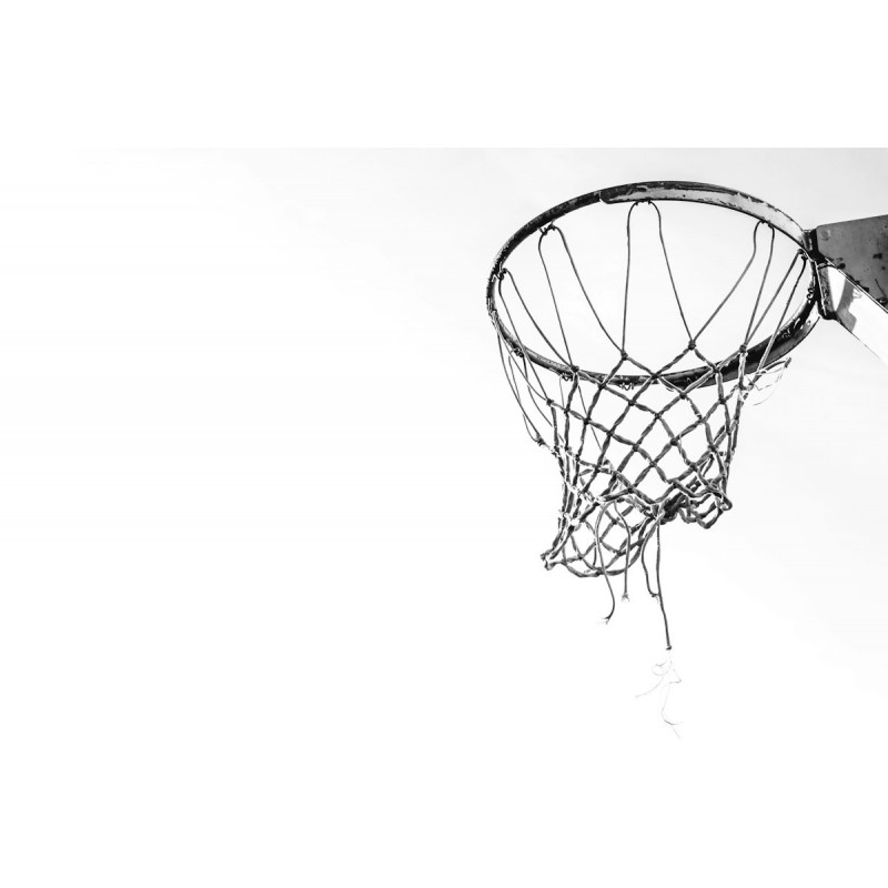 Filet de basket de rechange
