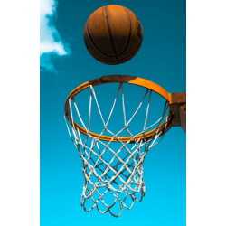 Filet de basket de rechange
