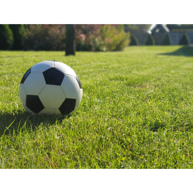 Ballon de football d'entraînement taille 5