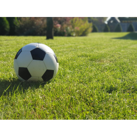 Ballon de football d'entraînement taille 5