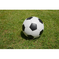 Ballon de football d'entraînement taille 5